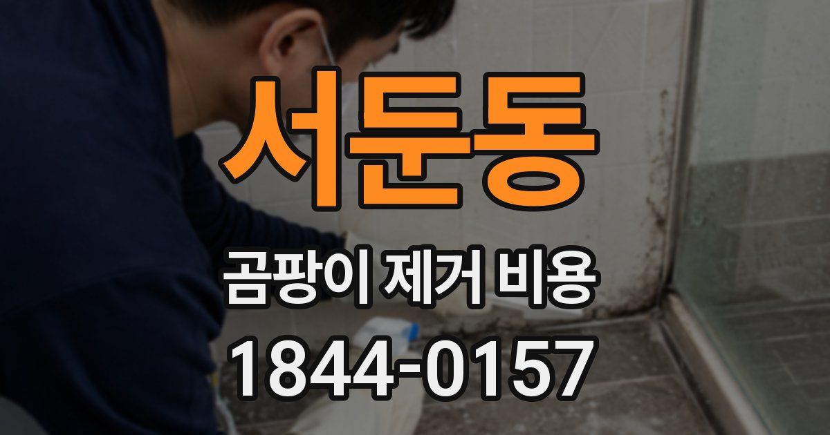 서둔동 곰팡이 제거 비용