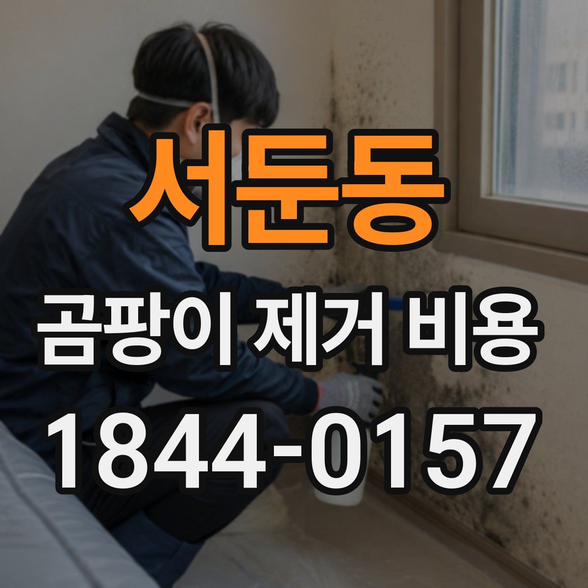 서둔동 곰팡이 제거 비용