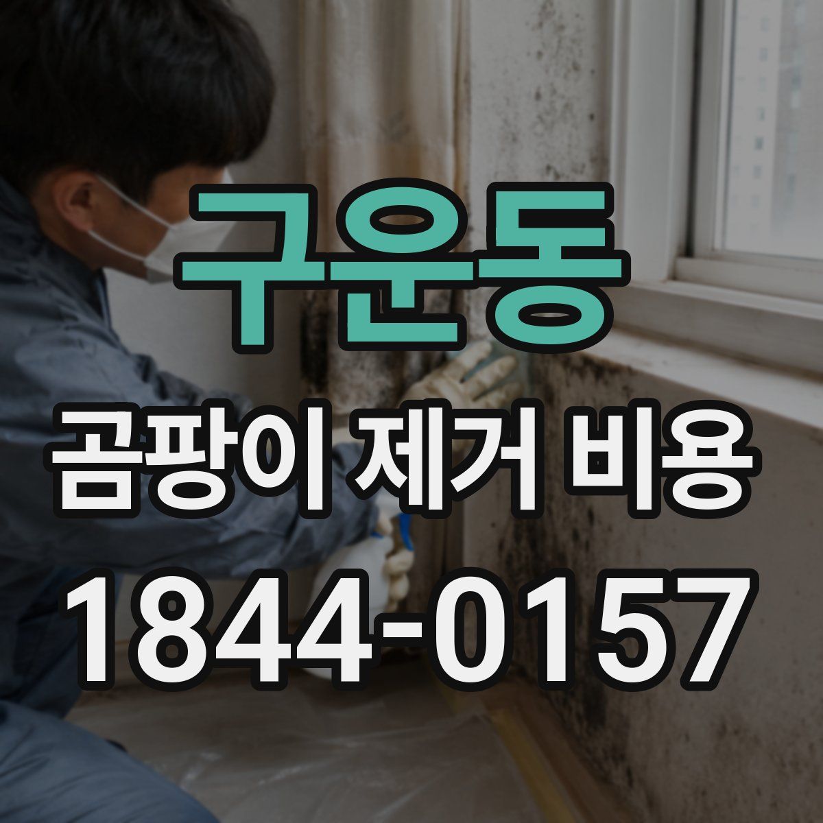 구운동 곰팡이 제거 비용