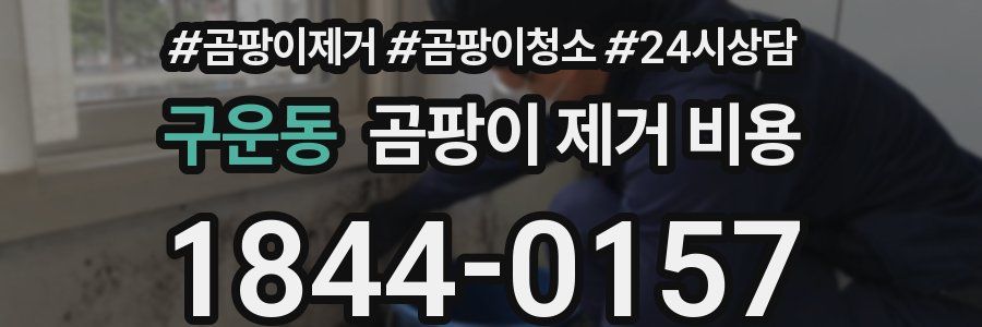 구운동 곰팡이 제거 비용