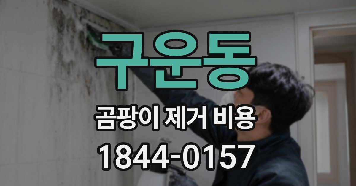 구운동 곰팡이 제거 비용