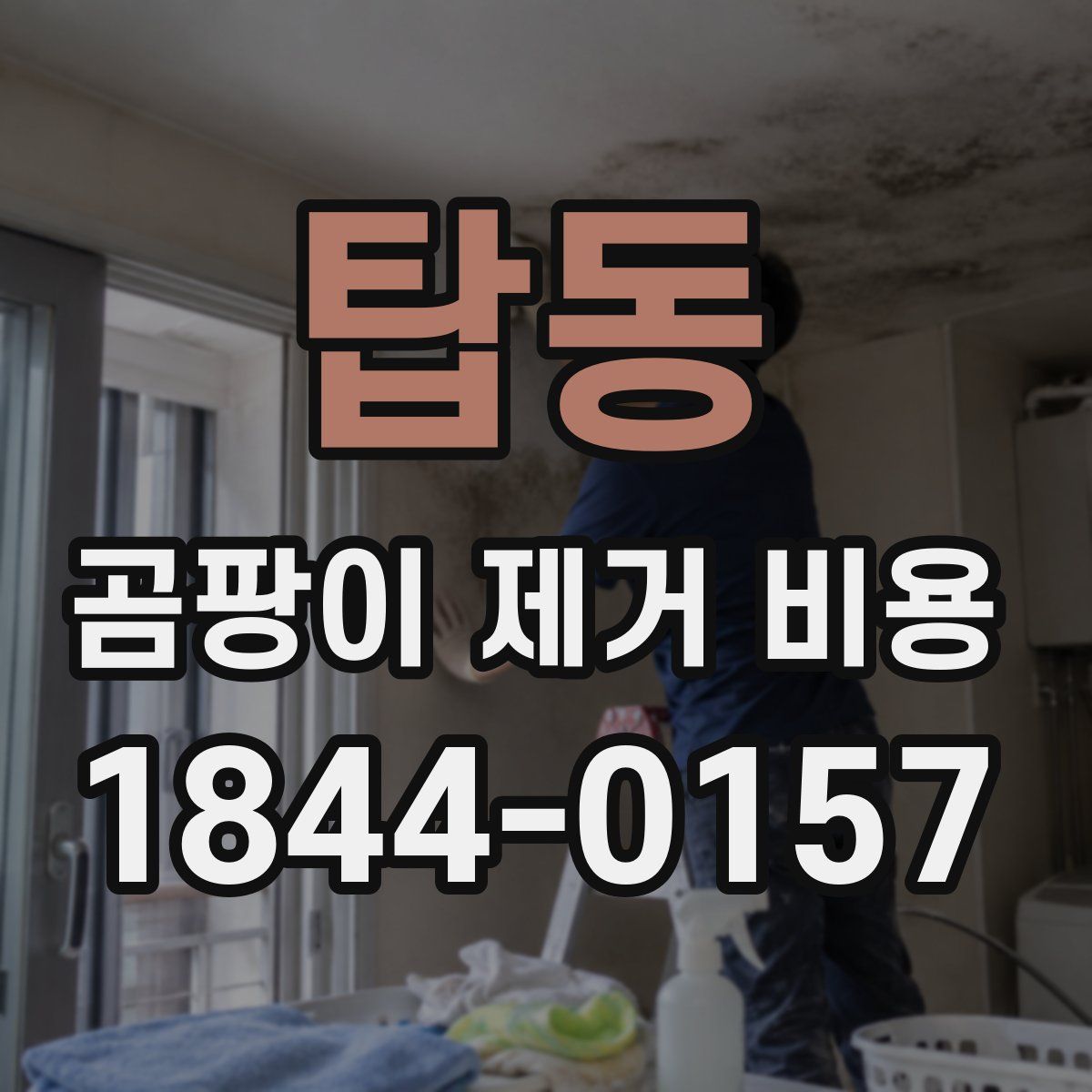 탑동 곰팡이 제거 비용