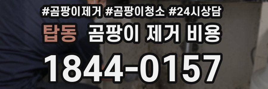 탑동 곰팡이 제거 비용