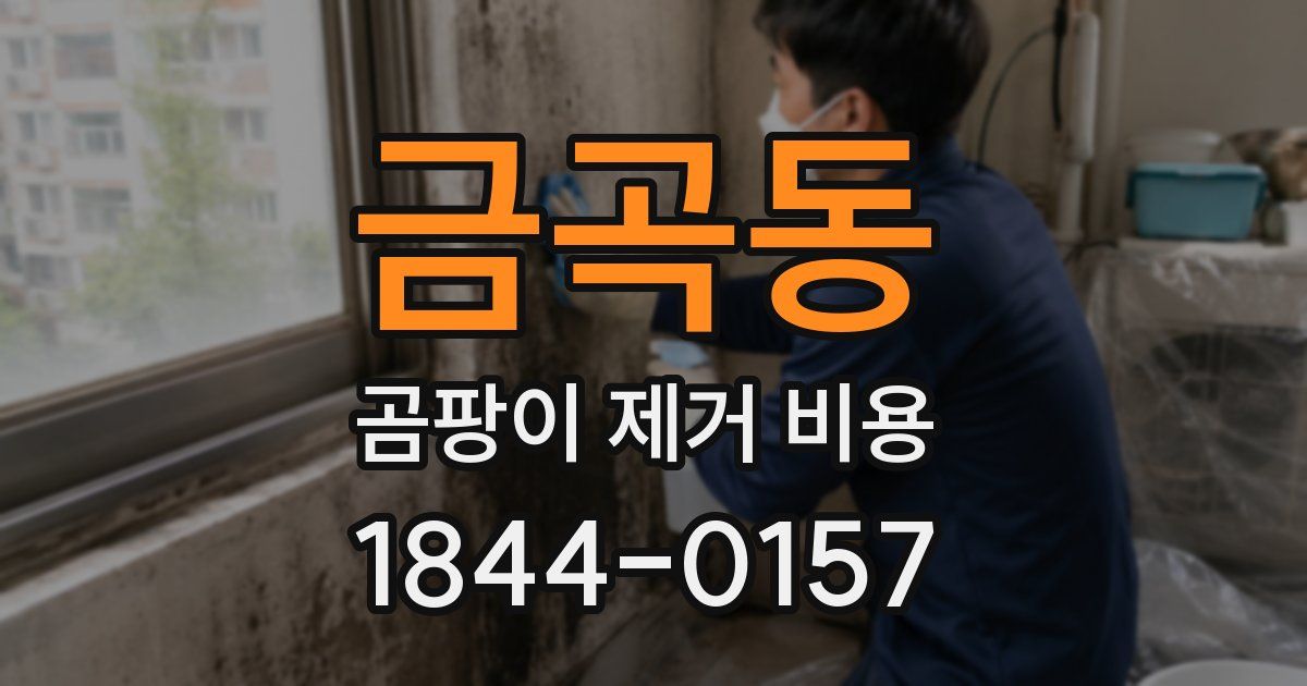 금곡동 곰팡이 제거 비용
