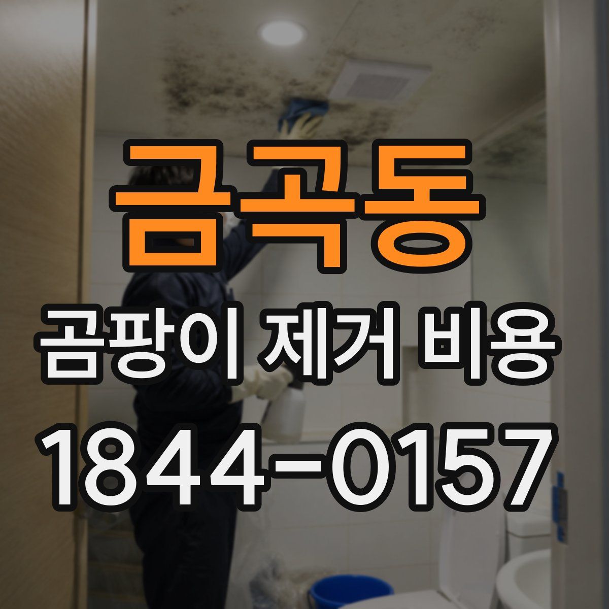 금곡동 곰팡이 제거 비용