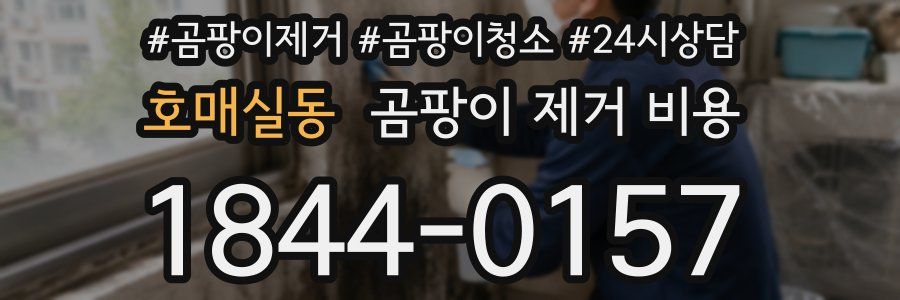 호매실동 곰팡이 제거 비용