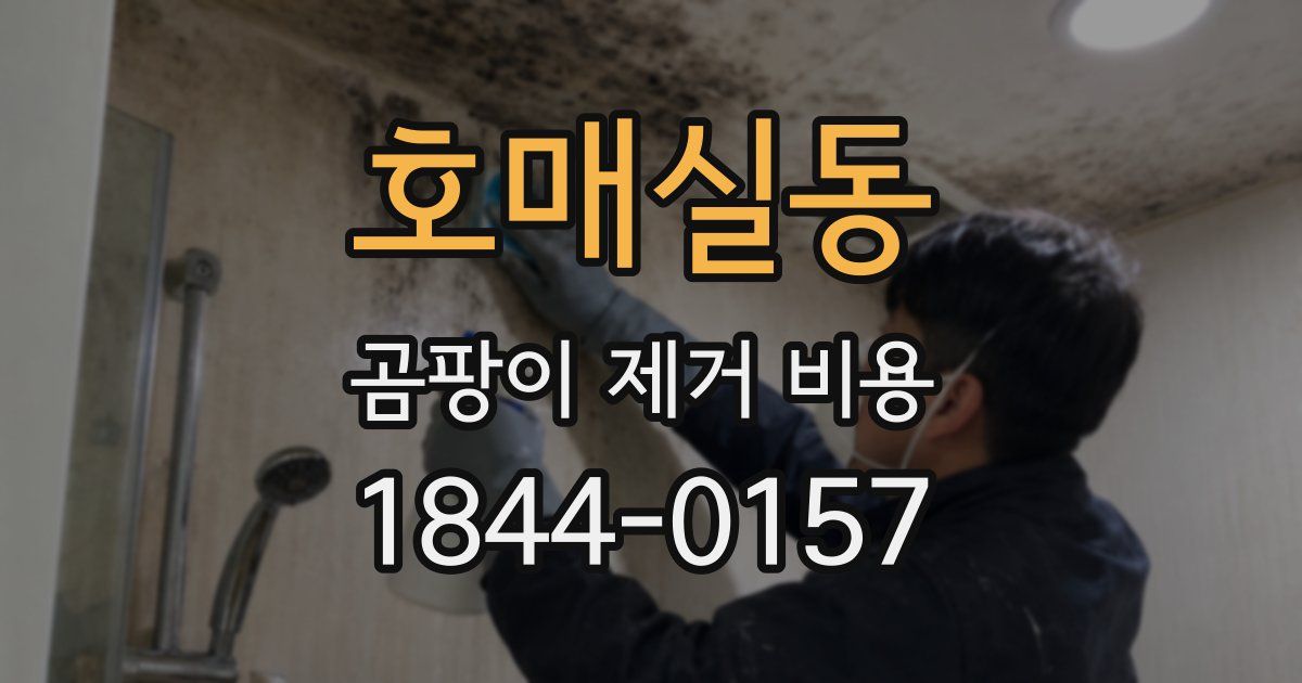 호매실동 곰팡이 제거 비용