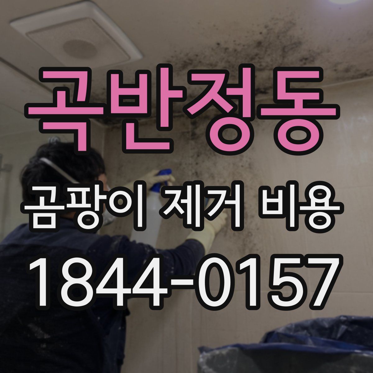 곡반정동 곰팡이 제거 비용