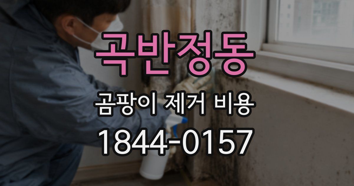 곡반정동 곰팡이 제거 비용