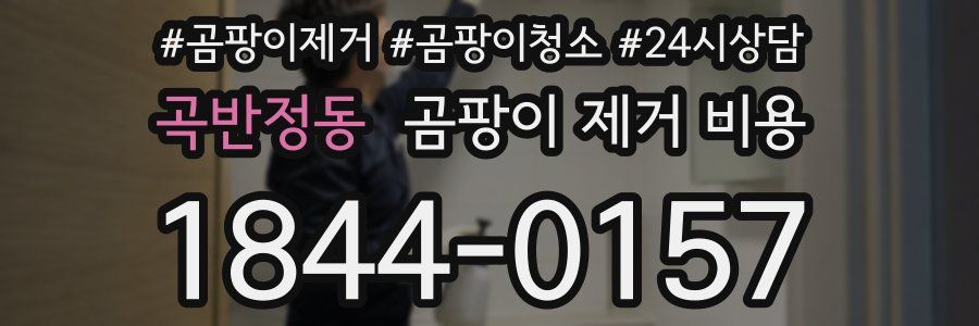 곡반정동 곰팡이 제거 비용