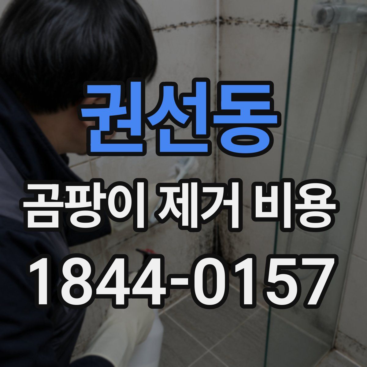 권선동 곰팡이 제거 비용