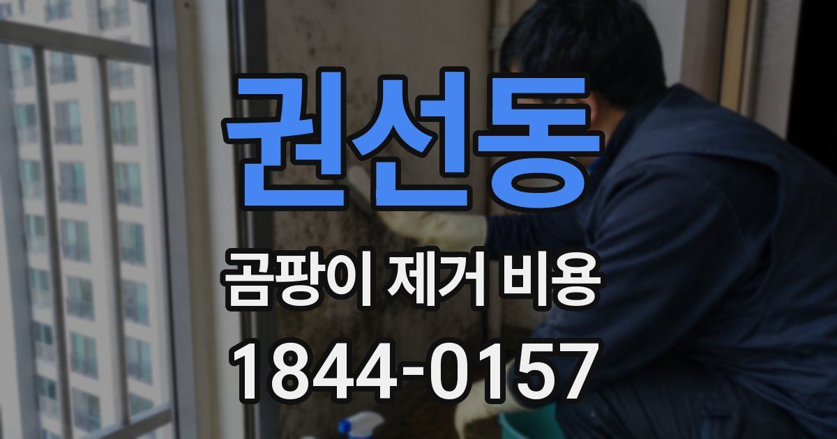 권선동 곰팡이 제거 비용