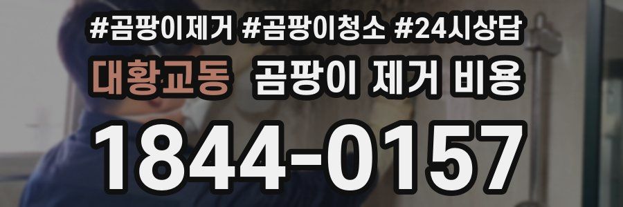 대황교동 곰팡이 제거 비용