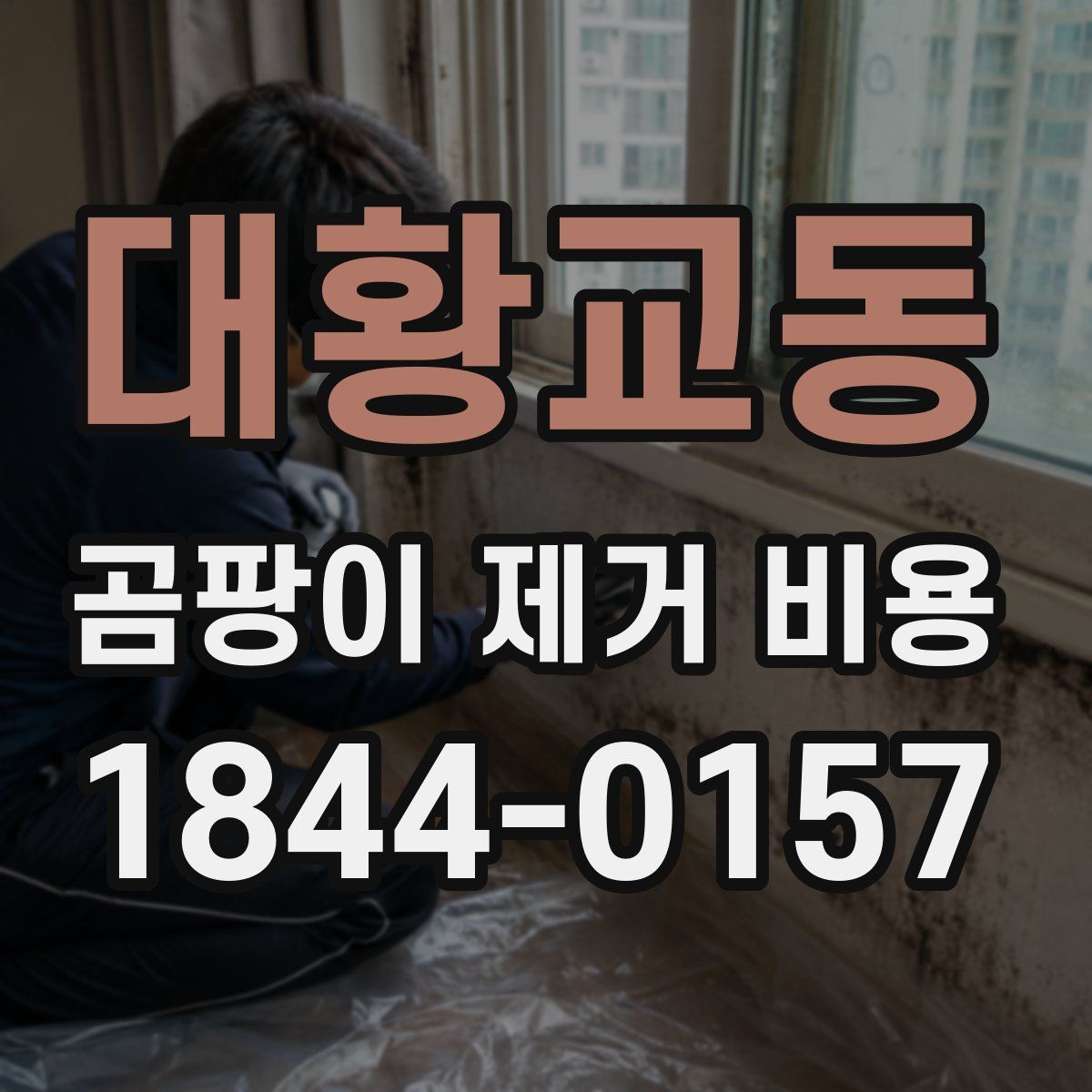 대황교동 곰팡이 제거 비용