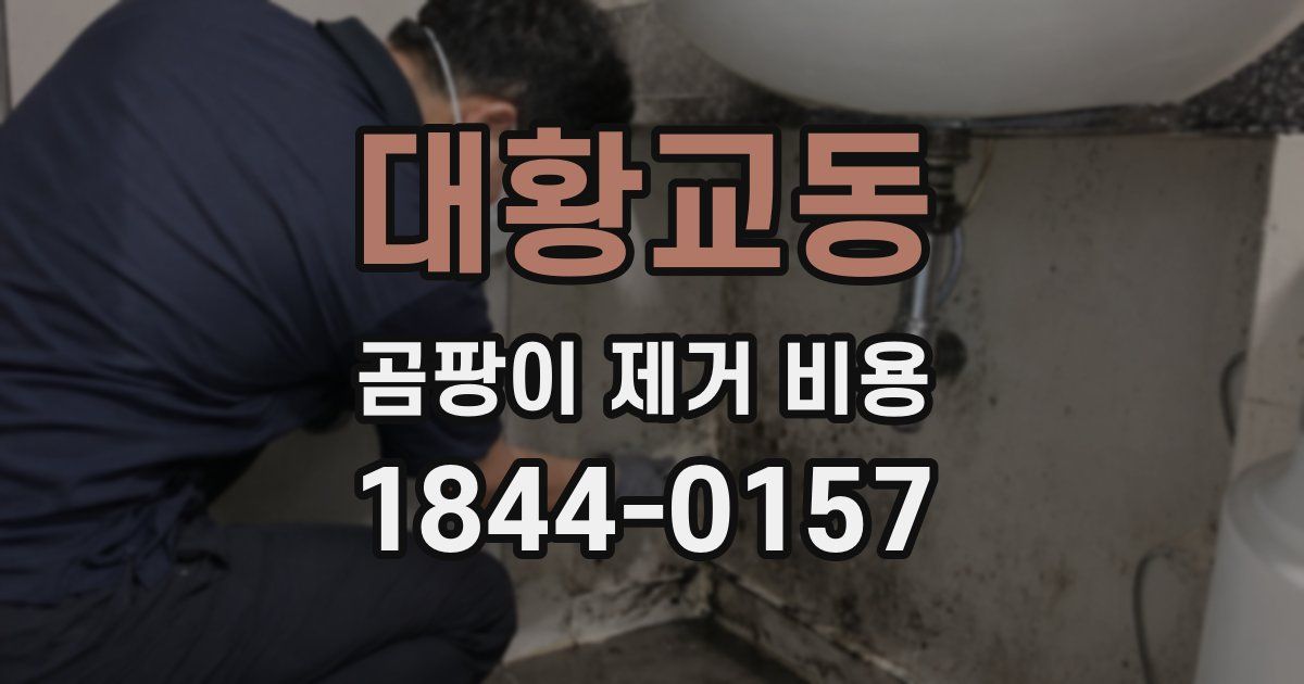 대황교동 곰팡이 제거 비용