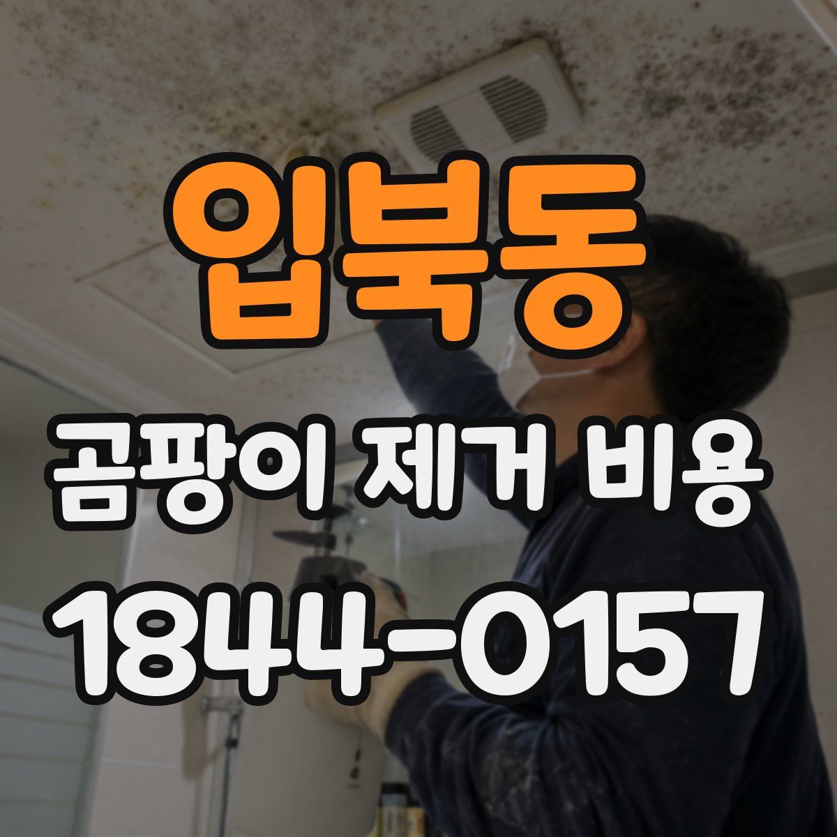 입북동 곰팡이 제거 비용