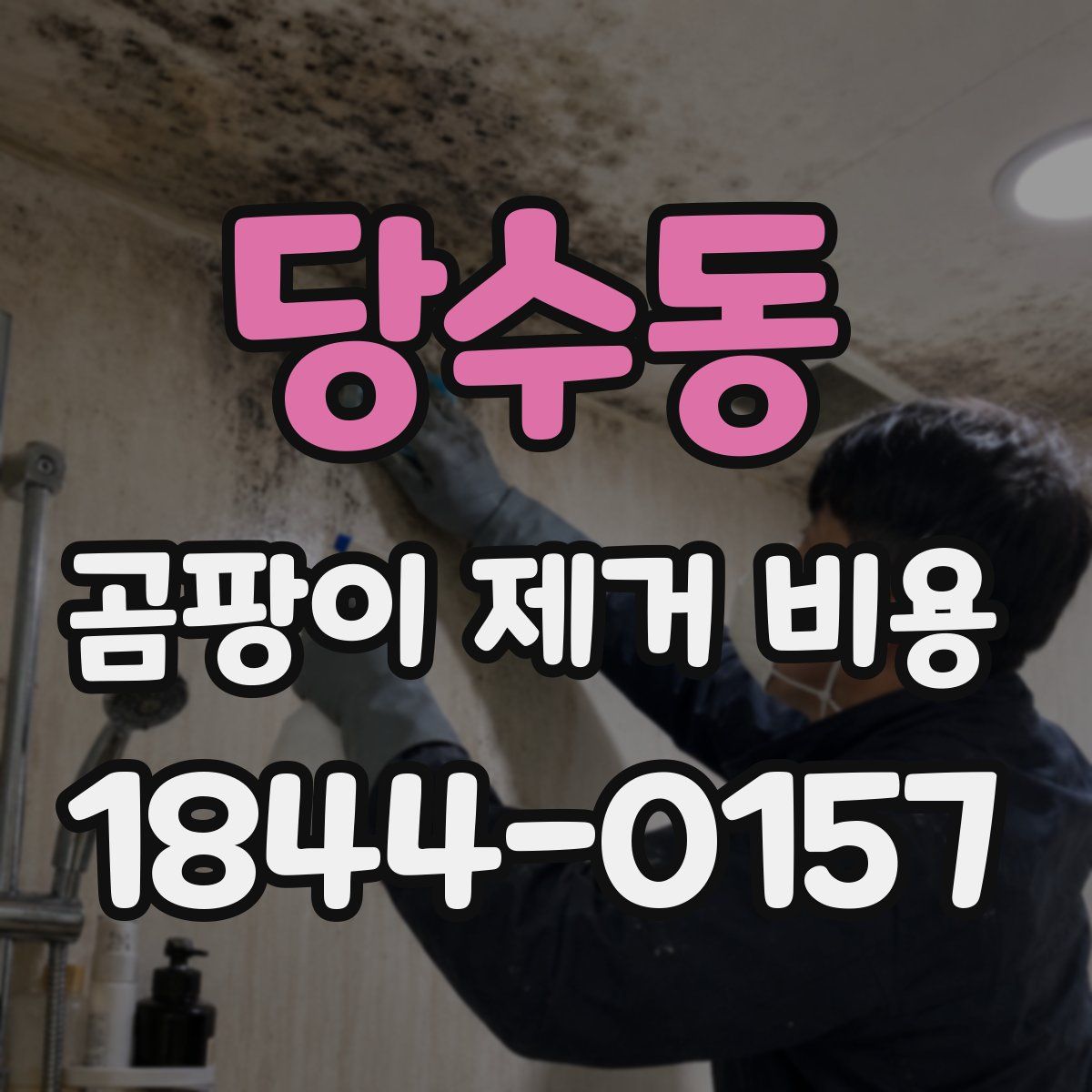 당수동 곰팡이 제거 비용