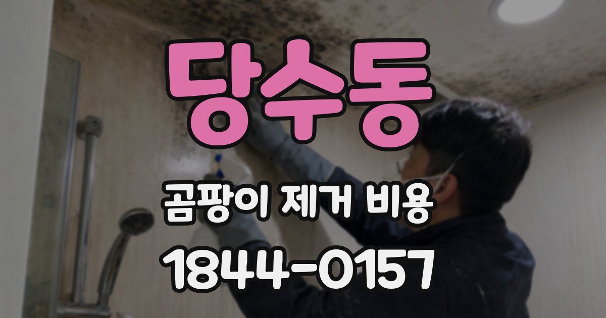 당수동 곰팡이 제거 비용