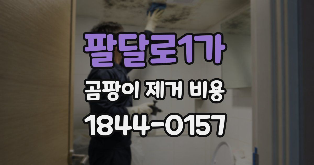 팔달로1가 곰팡이 제거 비용