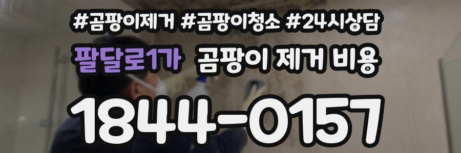 팔달로1가 곰팡이 제거 비용