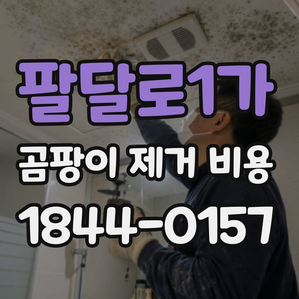 팔달로1가 곰팡이 제거 비용