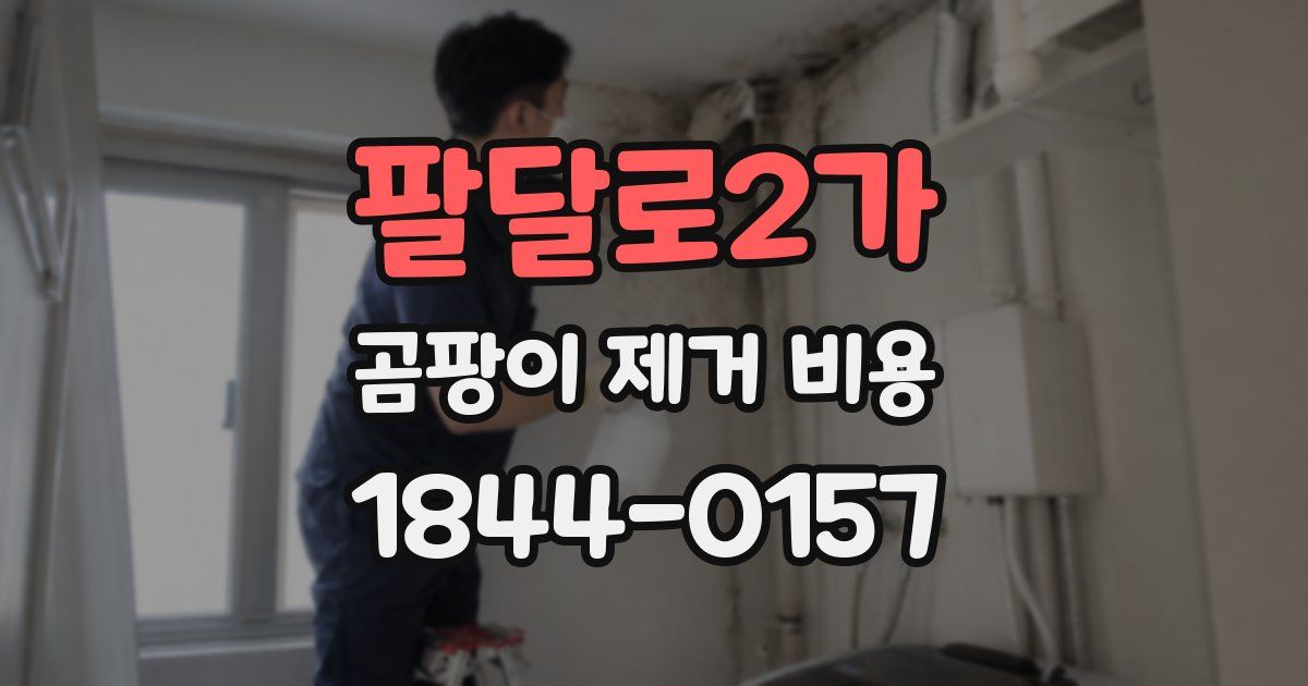 팔달로2가 곰팡이 제거 비용