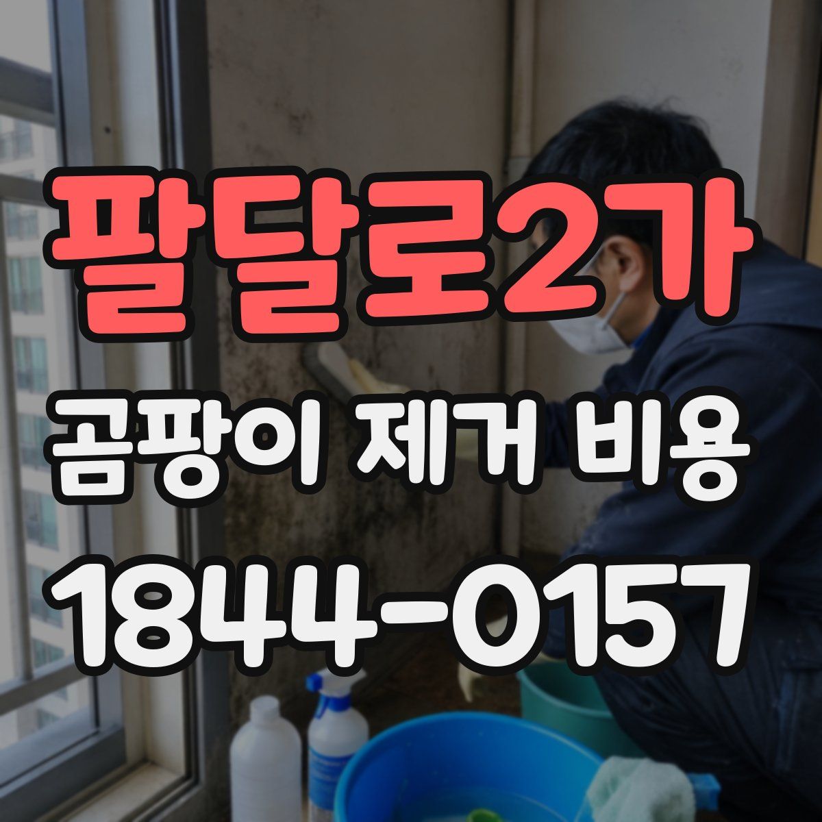 팔달로2가 곰팡이 제거 비용