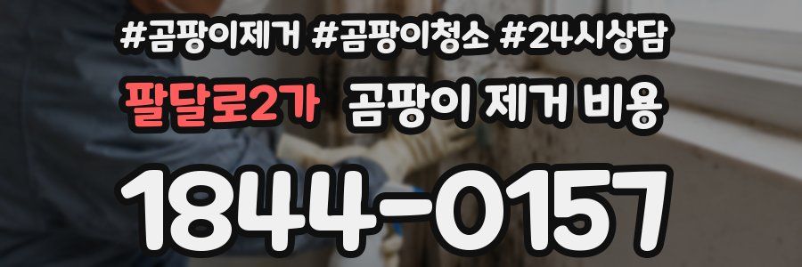팔달로2가 곰팡이 제거 비용