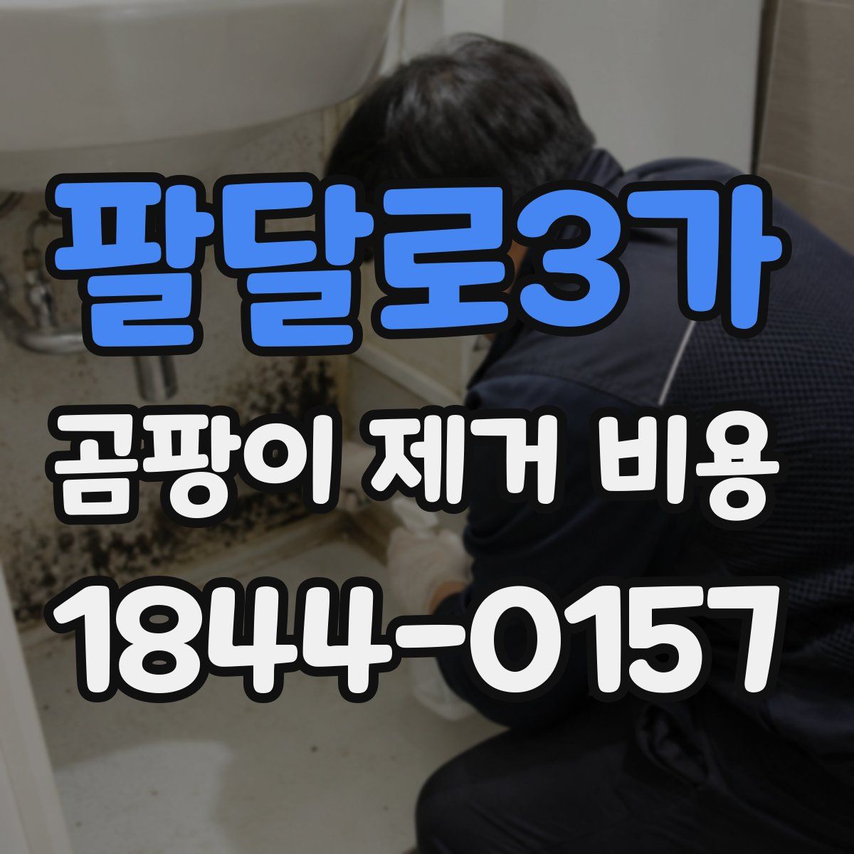 팔달로3가 곰팡이 제거 비용