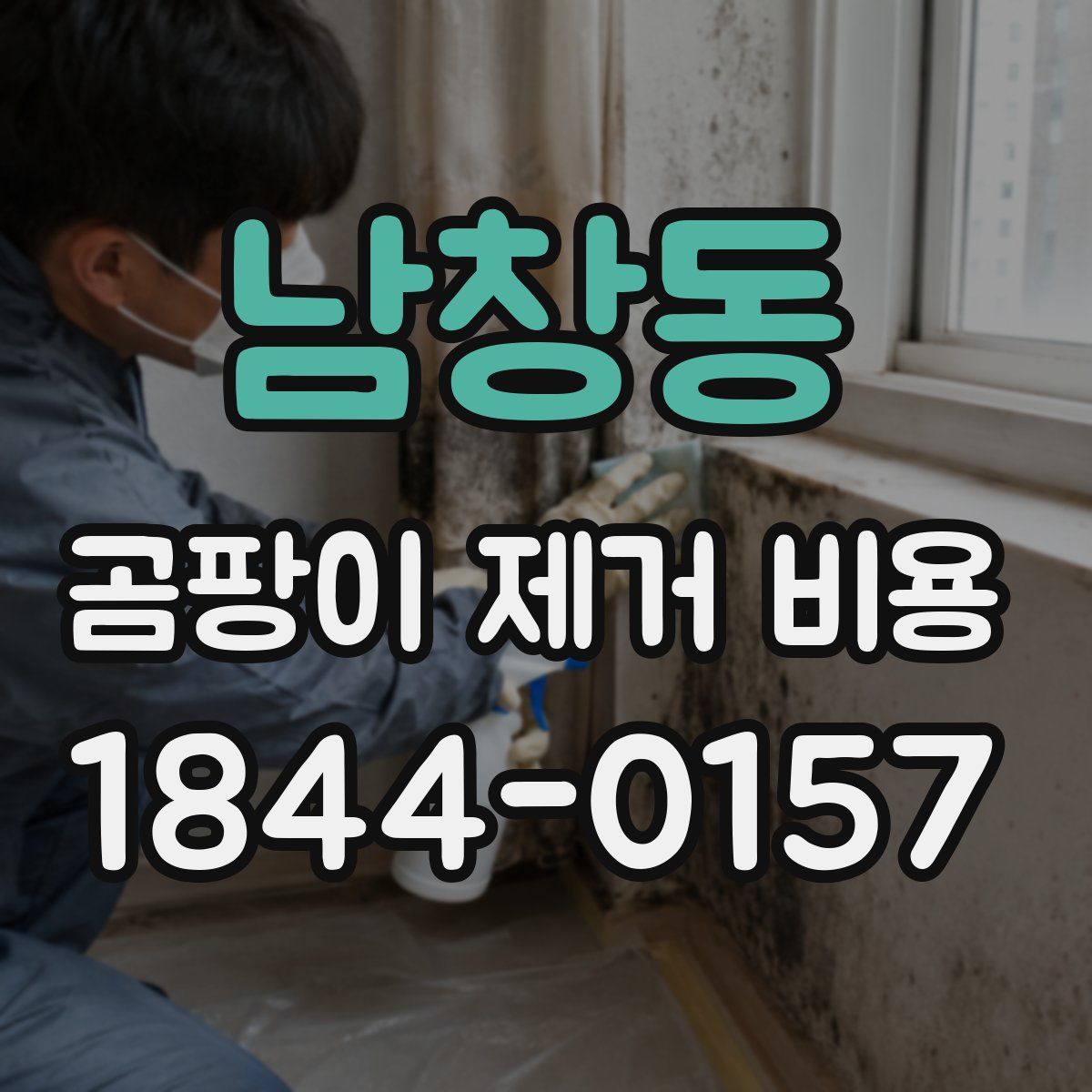 남창동 곰팡이 제거 비용
