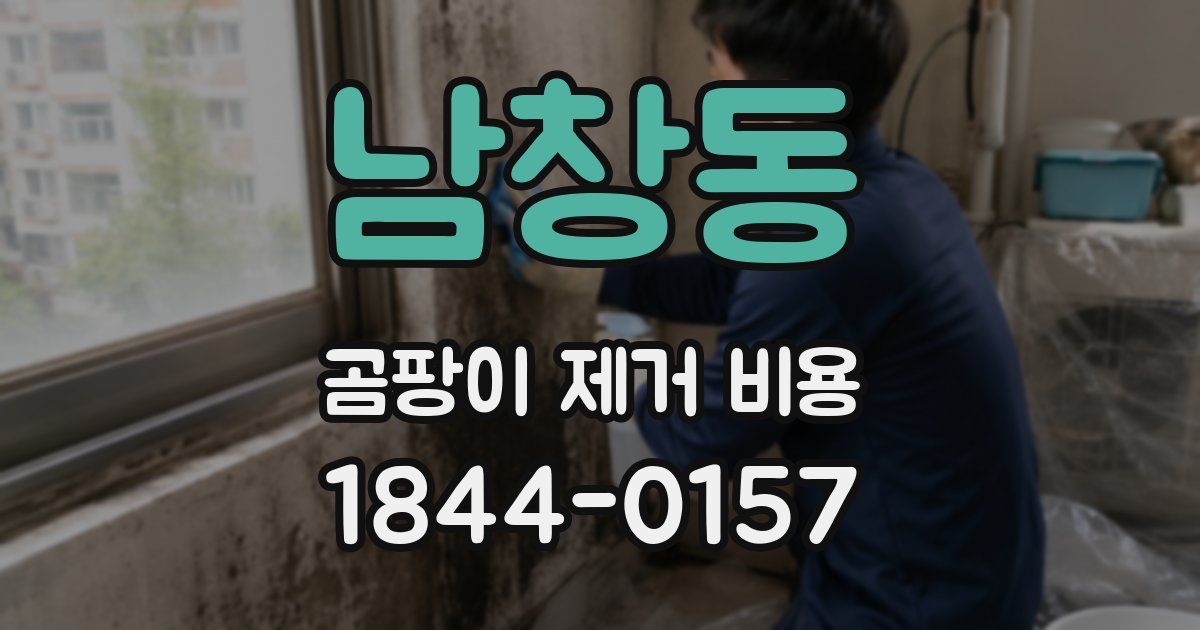 남창동 곰팡이 제거 비용