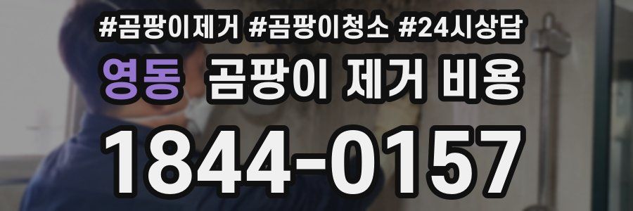 영동 곰팡이 제거 비용