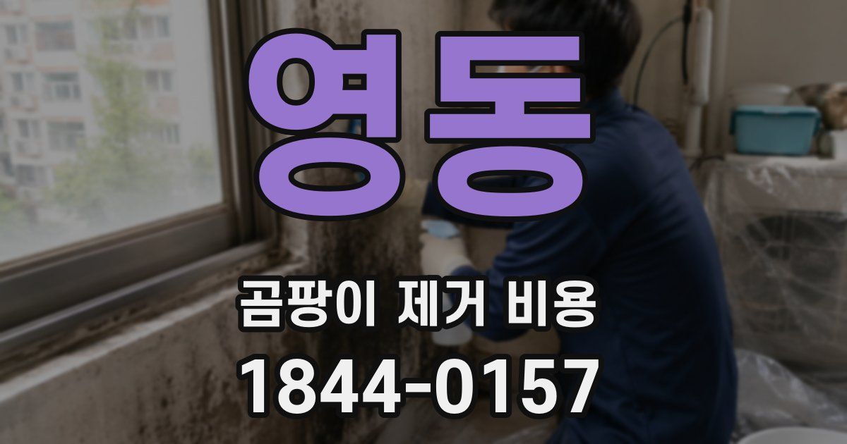 영동 곰팡이 제거 비용