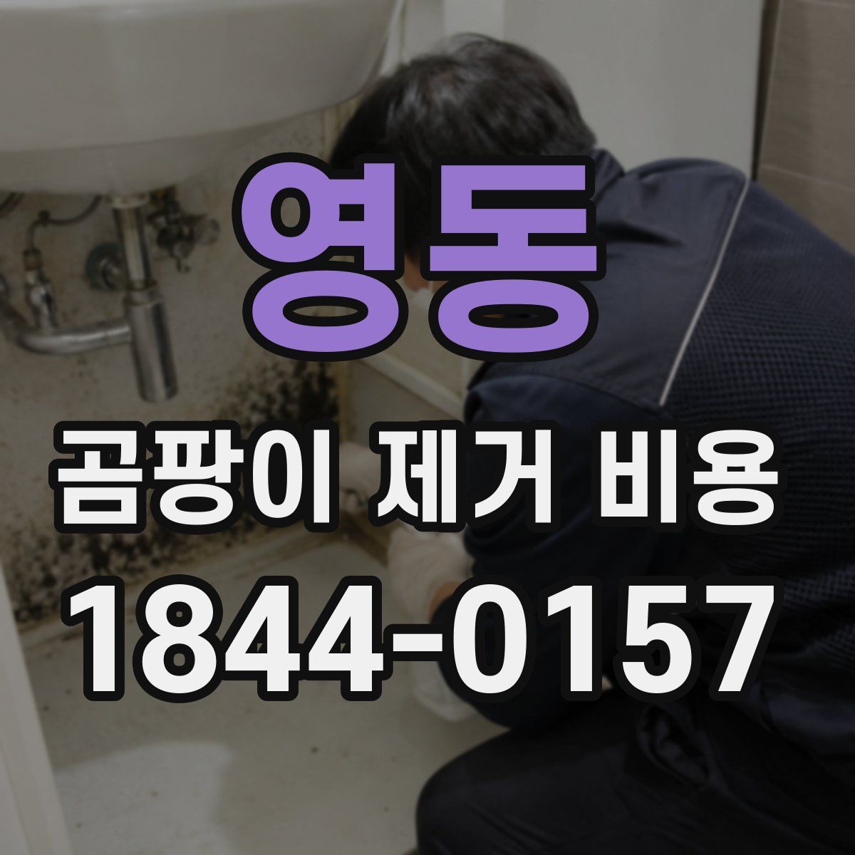 영동 곰팡이 제거 비용