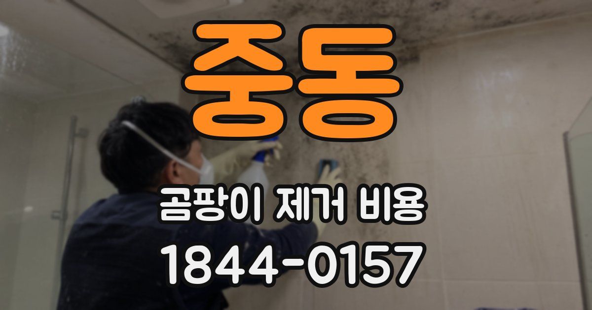중동 곰팡이 제거 비용