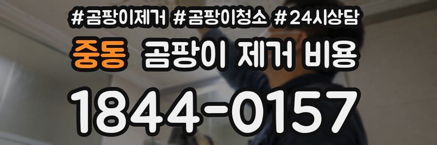 중동 곰팡이 제거 비용
