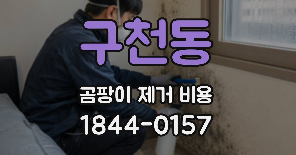 구천동 곰팡이 제거 비용