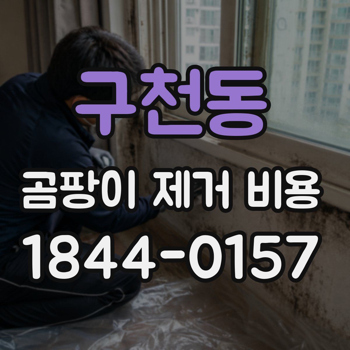 구천동 곰팡이 제거 비용