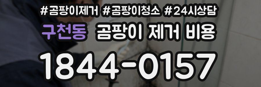 구천동 곰팡이 제거 비용