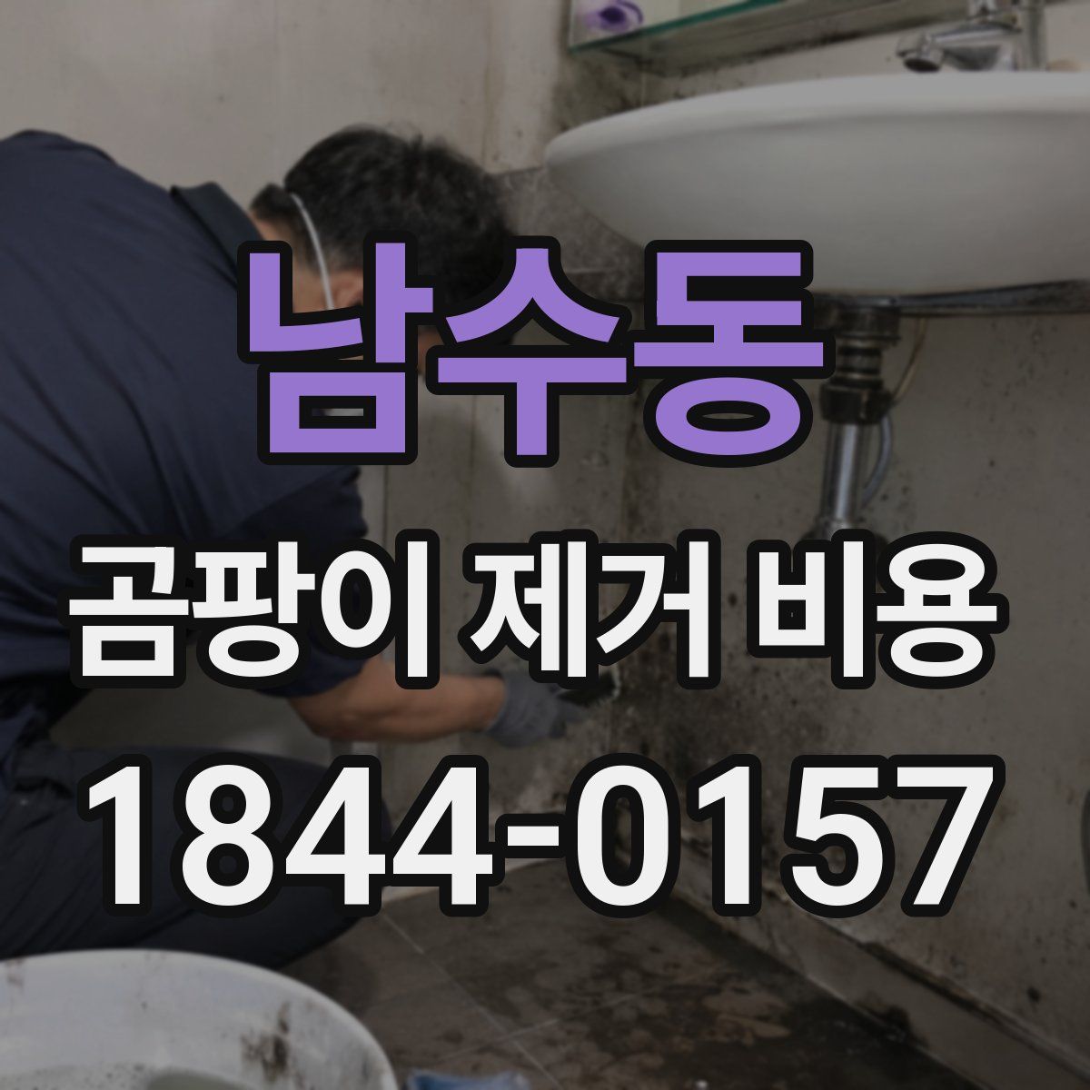 남수동 곰팡이 제거 비용