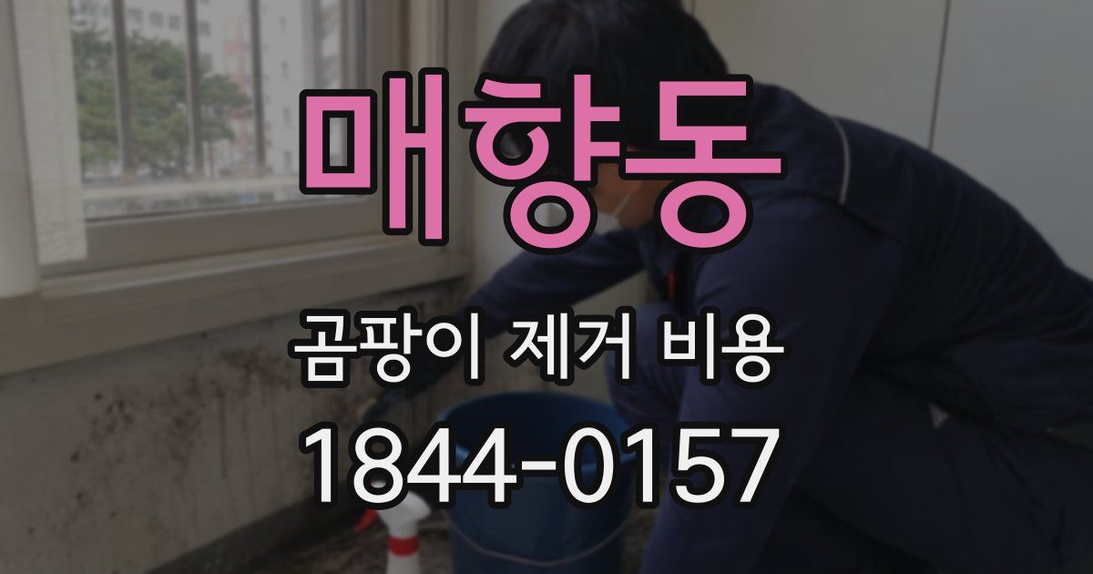 매향동 곰팡이 제거 비용