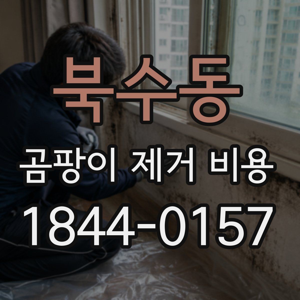북수동 곰팡이 제거 비용 실측 후 변동되는 공사 내역 체크