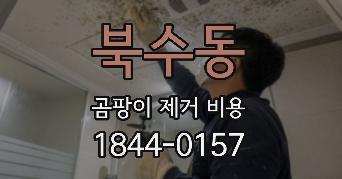 북수동 곰팡이 제거 비용