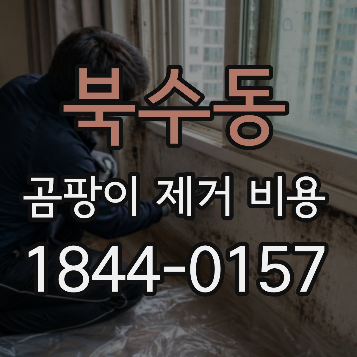 북수동 곰팡이 제거 비용