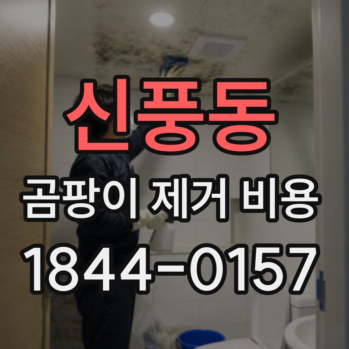 신풍동 곰팡이 제거 비용