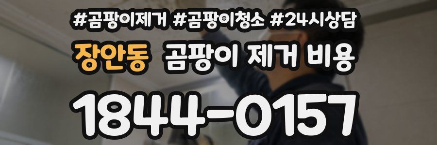 장안동 곰팡이 제거 비용