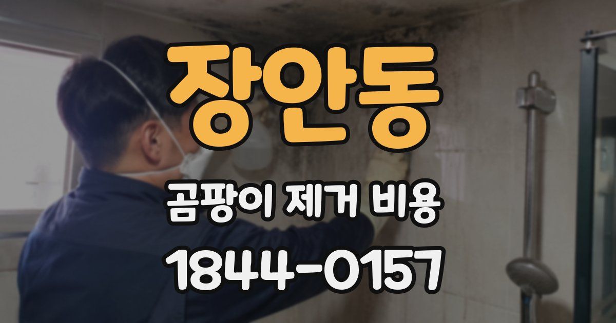 장안동 곰팡이 제거 비용