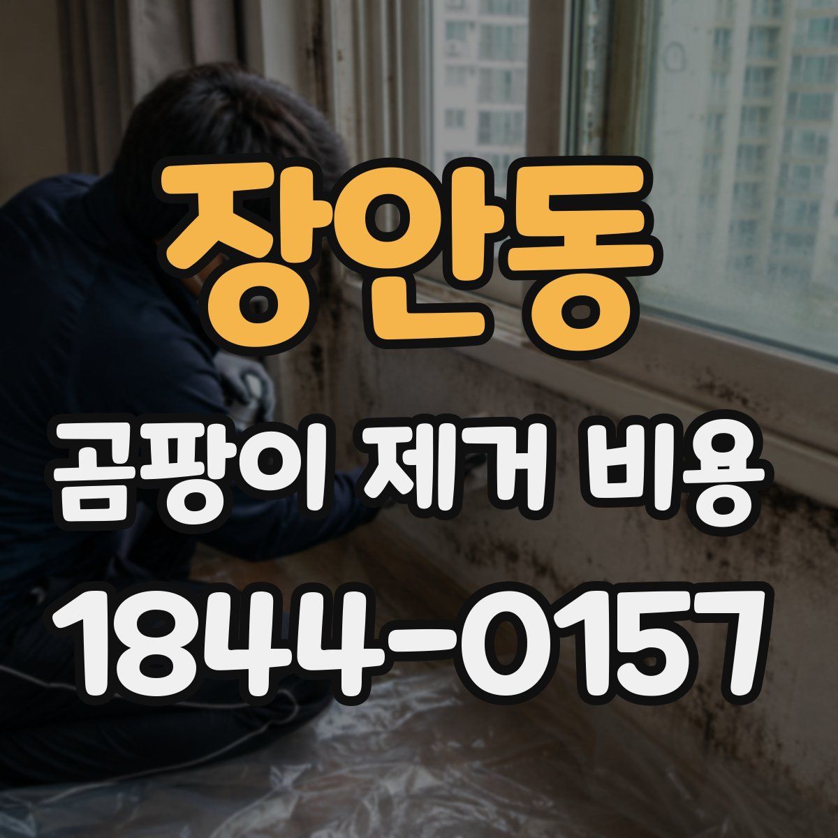장안동 곰팡이 제거 비용