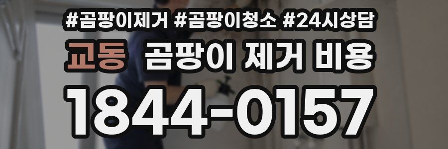 교동 곰팡이 제거 비용