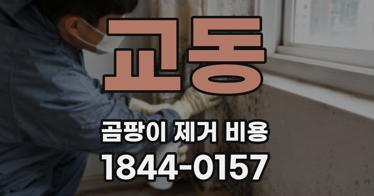 교동 곰팡이 제거 비용